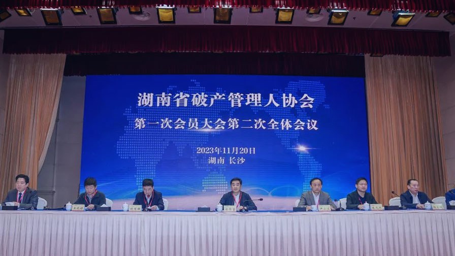 湖南省破产管理人协会正式成立